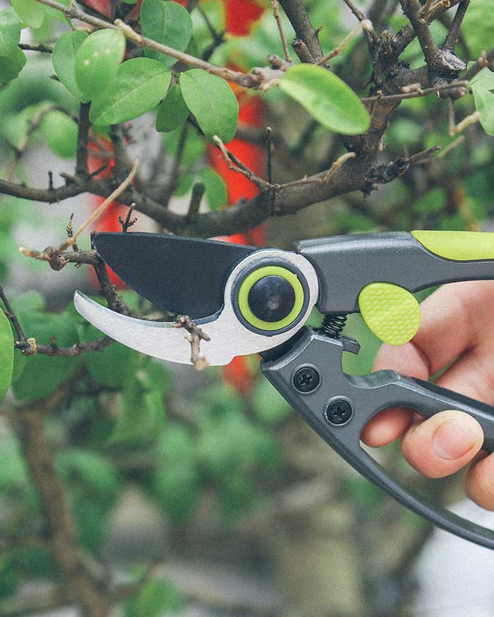 How to use oil for garden tools?