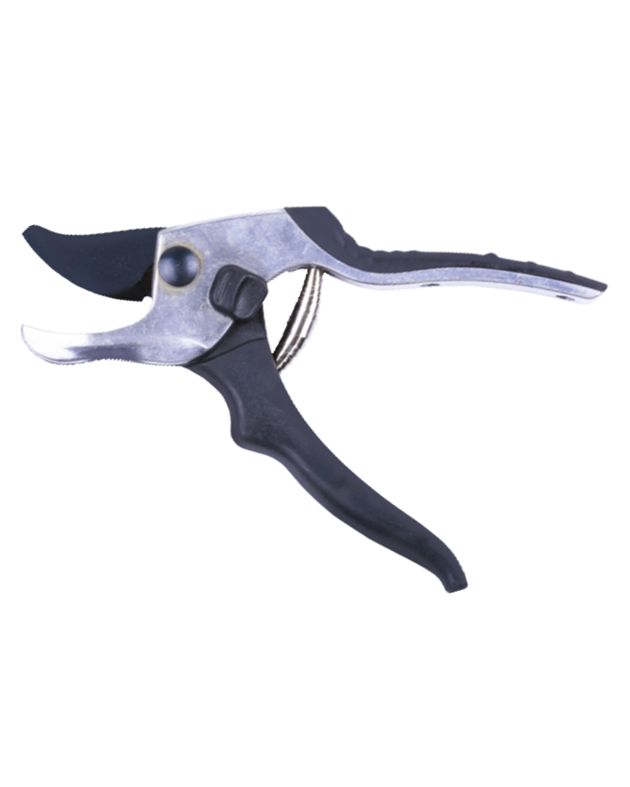 What are the daily maintenance and storage of pruning shears?