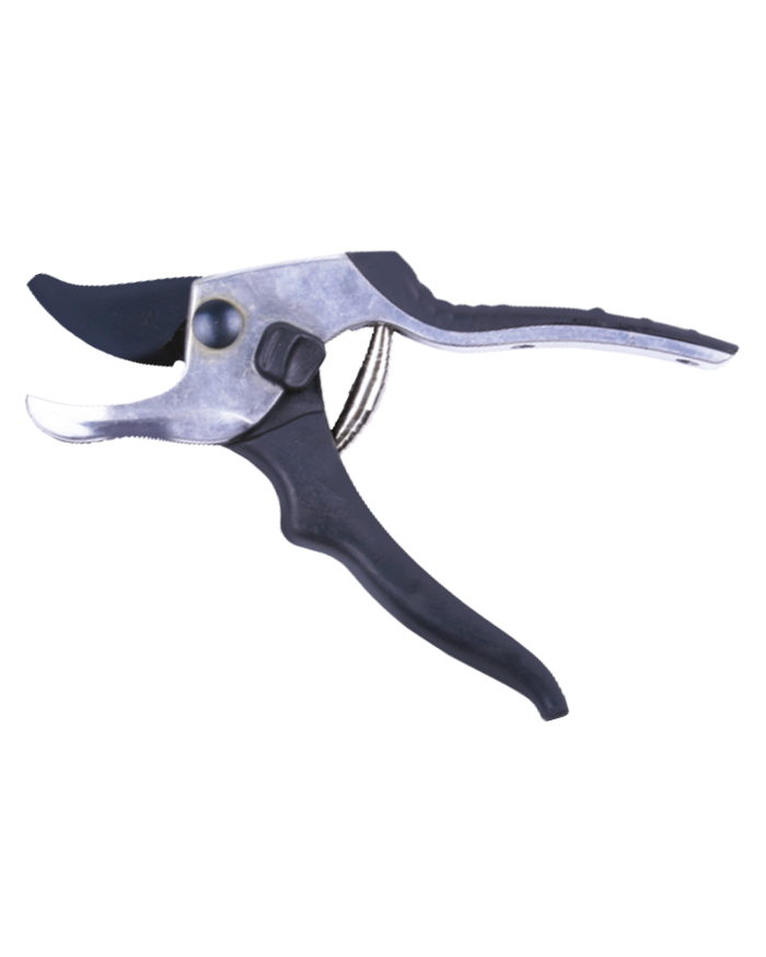 Pruning Shears - What Are the Best Pruning Shears For Cutting Back Plants?