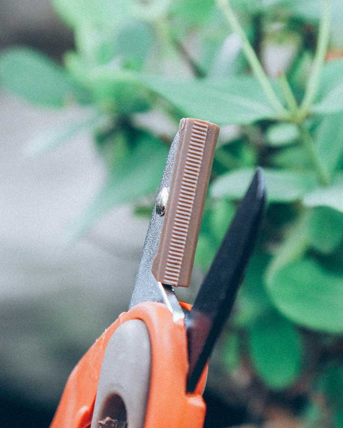 What should I do if an abnormality occurs when using electric pruning shears?
