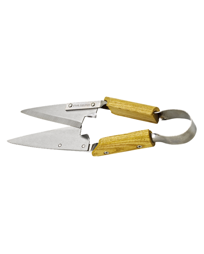 Wood handle Sheep Shears (153220)