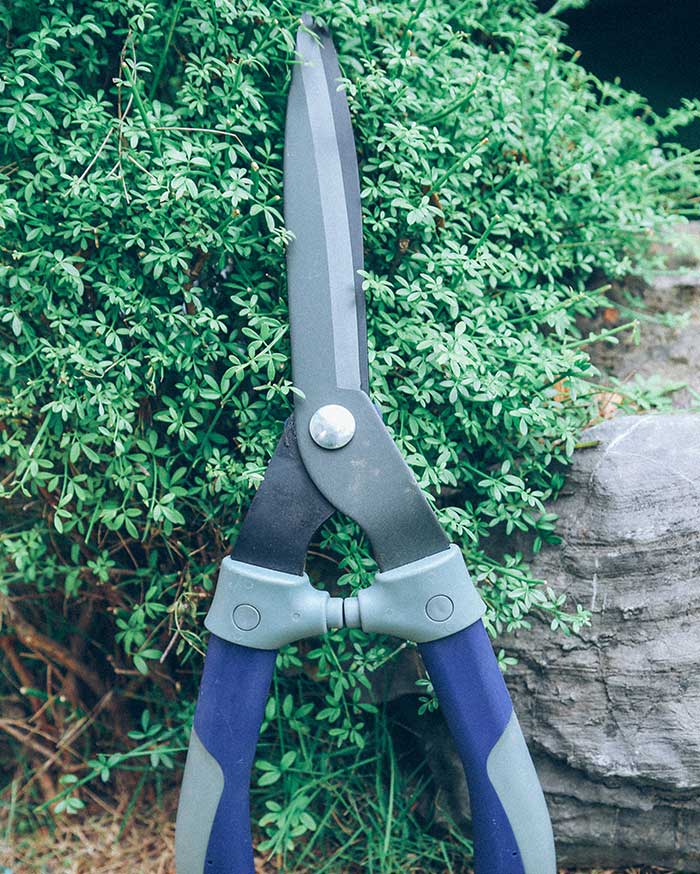 Garden tools: how to maintain the lawn?
